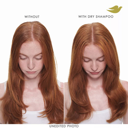 Dove Beauty Volume & Fullness Dry Shampoo
